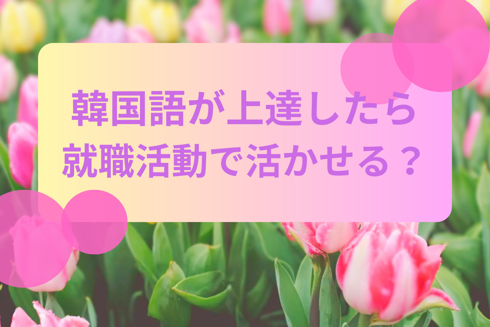 韓国語が上達したら就職活動に活かせる？